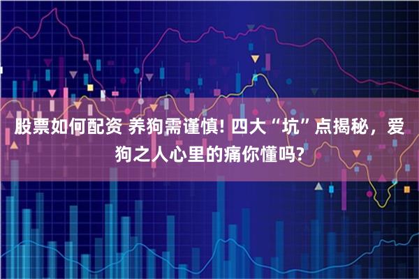 股票如何配资 养狗需谨慎! 四大“坑”点揭秘，爱狗之人心里的痛你懂吗?
