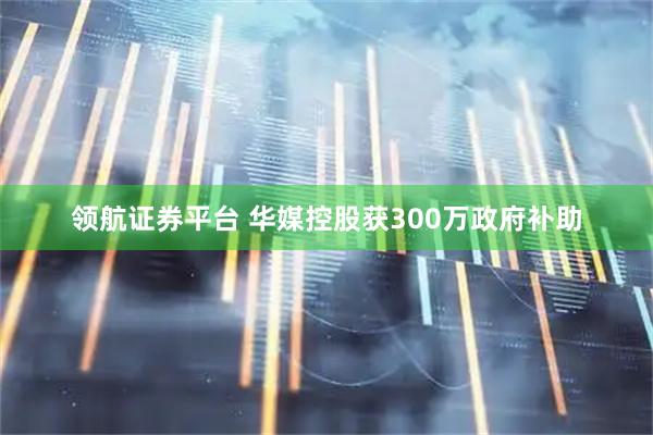 领航证券平台 华媒控股获300万政府补助