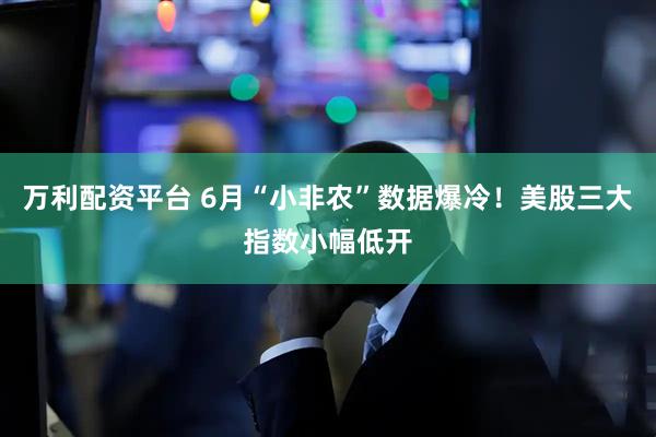 万利配资平台 6月“小非农”数据爆冷！美股三大指数小幅低开