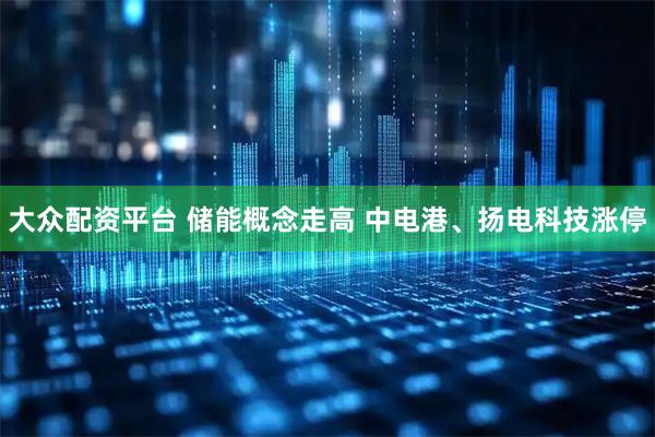 大众配资平台 储能概念走高 中电港、扬电科技涨停