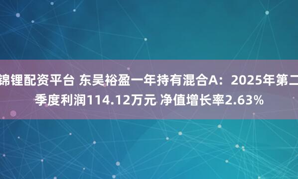 锦锂配资平台 东吴裕盈一年持有混合A：2025年第二季度利润114.12万元 净值增长率2.63%