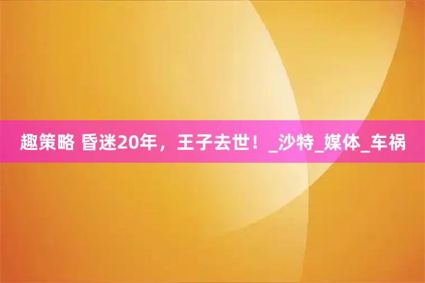 趣策略 昏迷20年，王子去世！_沙特_媒体_车祸