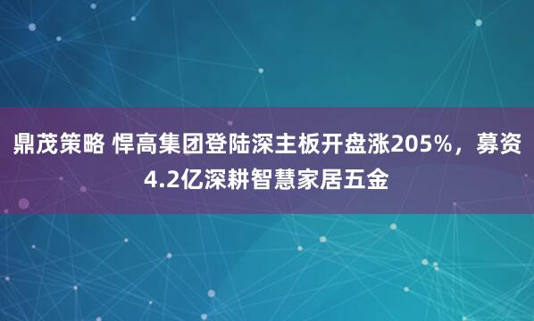 鼎茂策略 悍高集团登陆深主板开盘涨205%，募资4.2亿深耕智慧家居五金