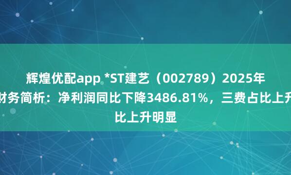 辉煌优配app *ST建艺（002789）2025年中报财务简析：净利润同比下降3486.81%，三费占比上升明显